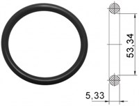 Кольцо сменное витоновое KF50 (NW50)